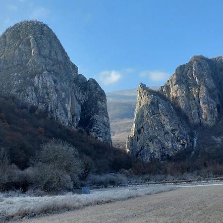 Golemi Kamik Pirot Vlasi 外观 照片