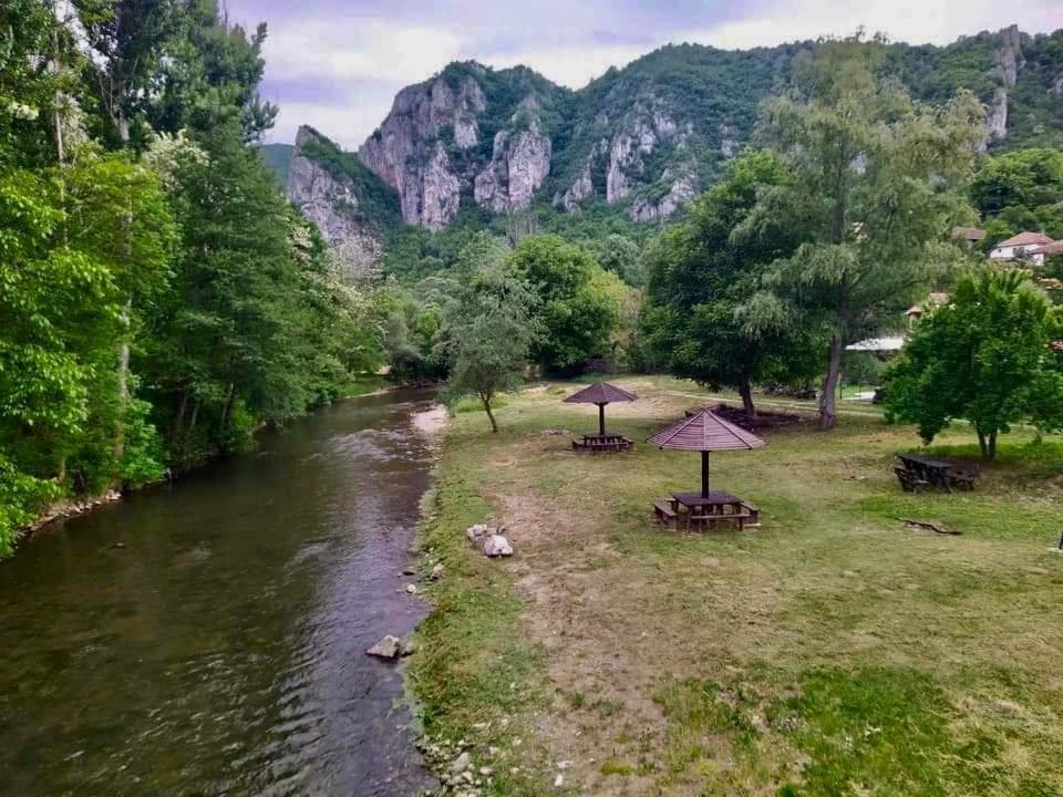 Golemi Kamik Pirot Vlasi 外观 照片